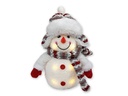 LED Deko Schneemann Beleuchtet mit Mütze, Schal und Handschuhe