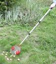 Rollsammler Ø22 cm mit Teleskopstiel 52–120 cm Obstsammler Nusssammler – Galeriebild 2, Artikelnummer 18297