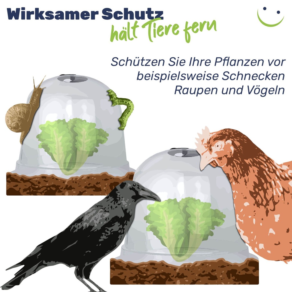 Minigewächshaus 3er Glockenförmig Schutz für Jungpflanzen Kunststoff – Galeriebild 5, Artikelnummer 17234